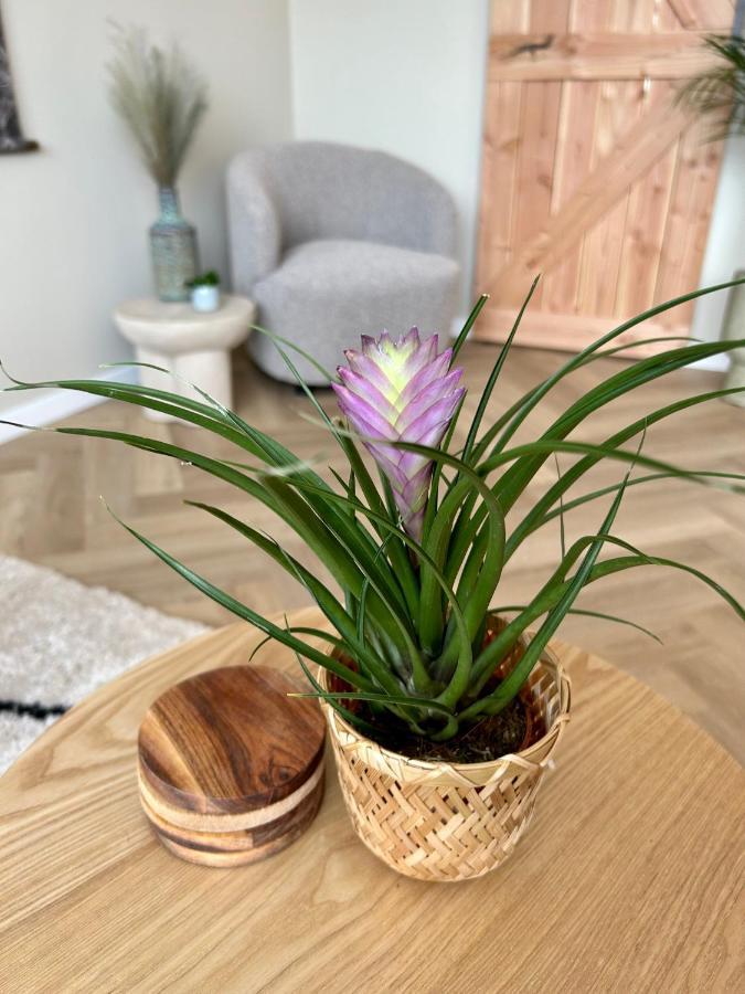Amsterdam Beach Apartment 33, Private Garden Zandvoort Zewnętrze zdjęcie